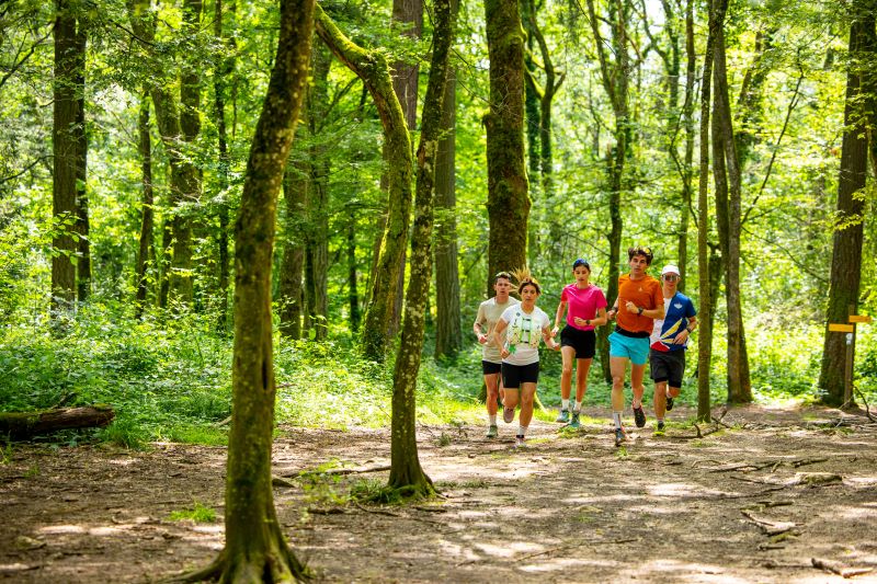 Successful group of trail runners