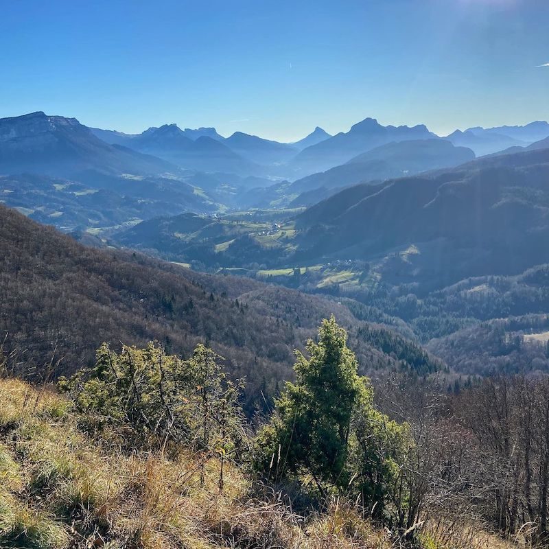 Runner on a Chambéry trail route, transitioning from flat roads to scenic mountain views.