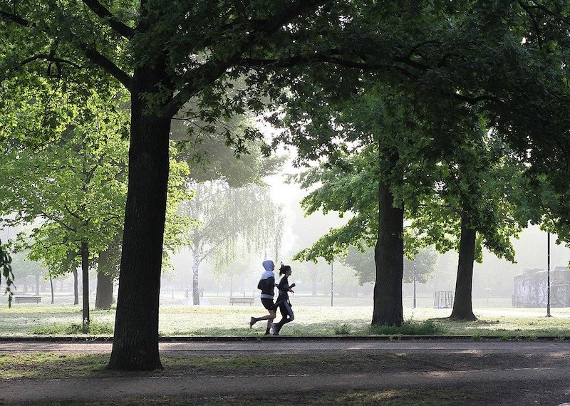 Runner training outdoors in spring with pollen allergies, using smart tips to manage symptoms safely.