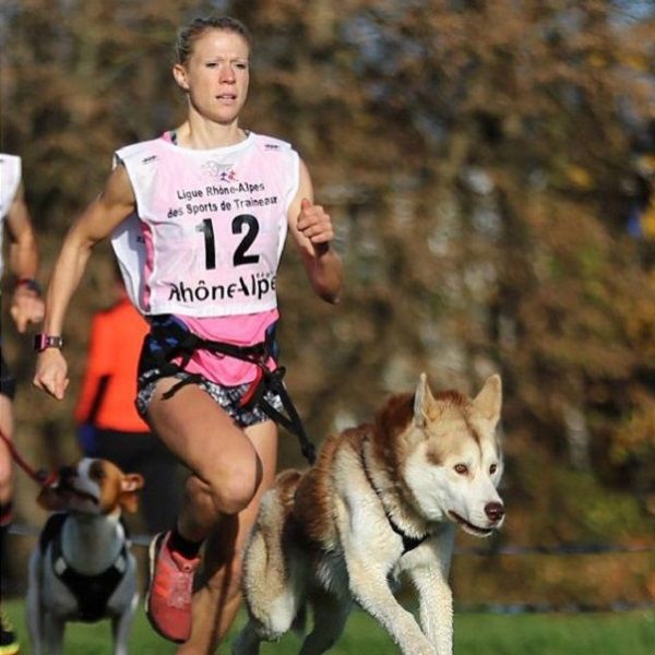 Canicross runner with dog using harness and bungee leash, highlighting gear and training tips.