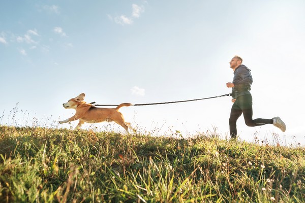 Canicross runner and dog trail running together, showcasing harness gear and effective training tips.