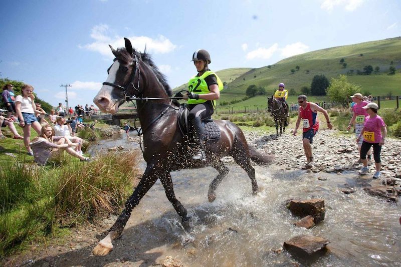 Runner tackling a rugged trail during one of nine wild running races for endurance athletes.